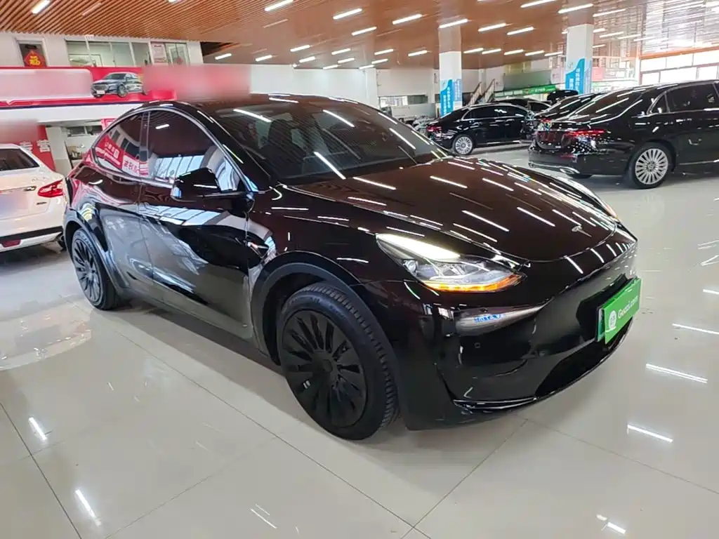 Tesla Model Y — миниатюра 4