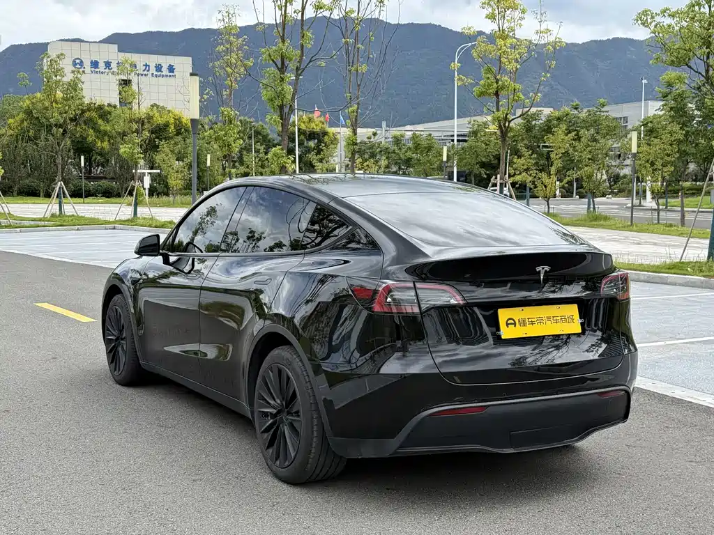 Tesla Model Y — миниатюра 14