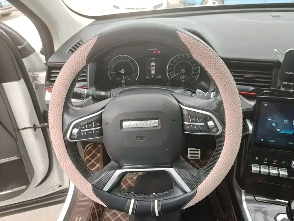 Haval H4 — миниатюра 11