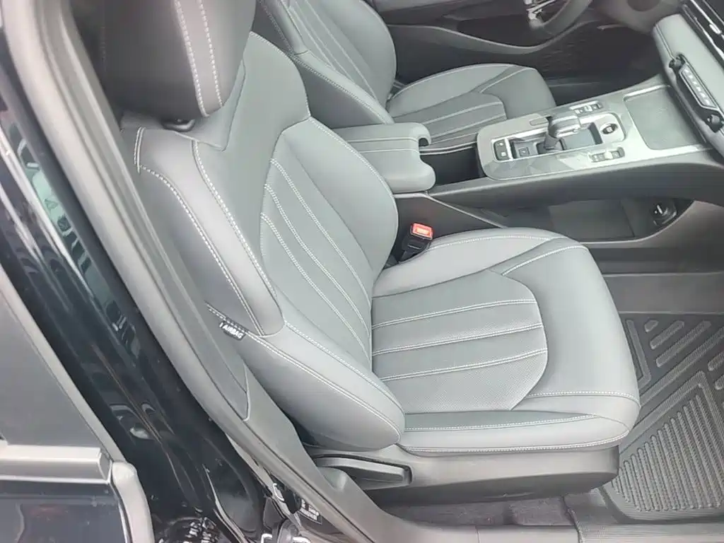 GAC Motor Shadow Leopard — миниатюра 25