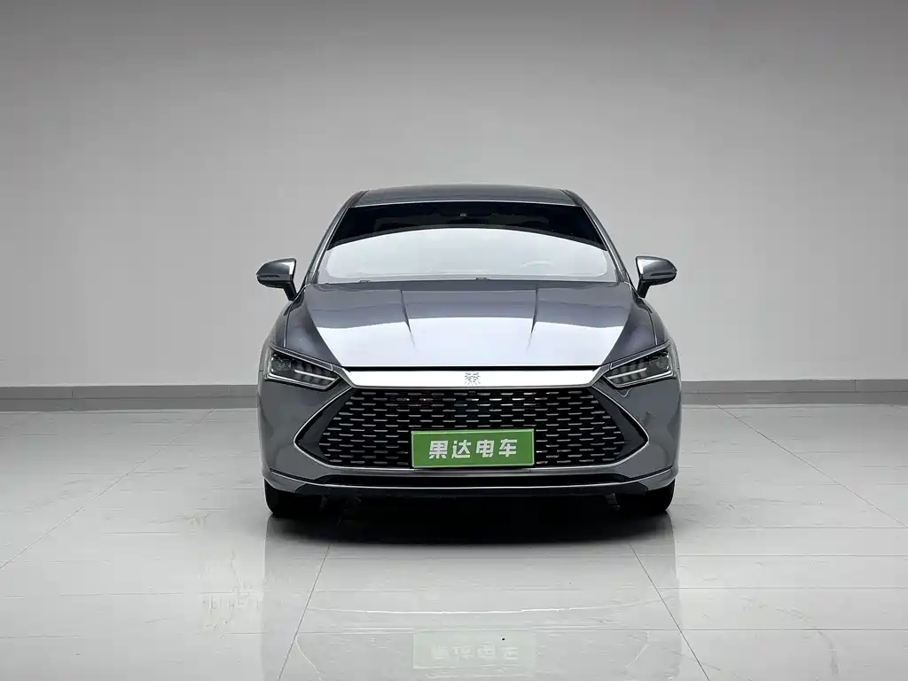 BYD Qin Plus PLUS 2024 DM-i 55KM Lead