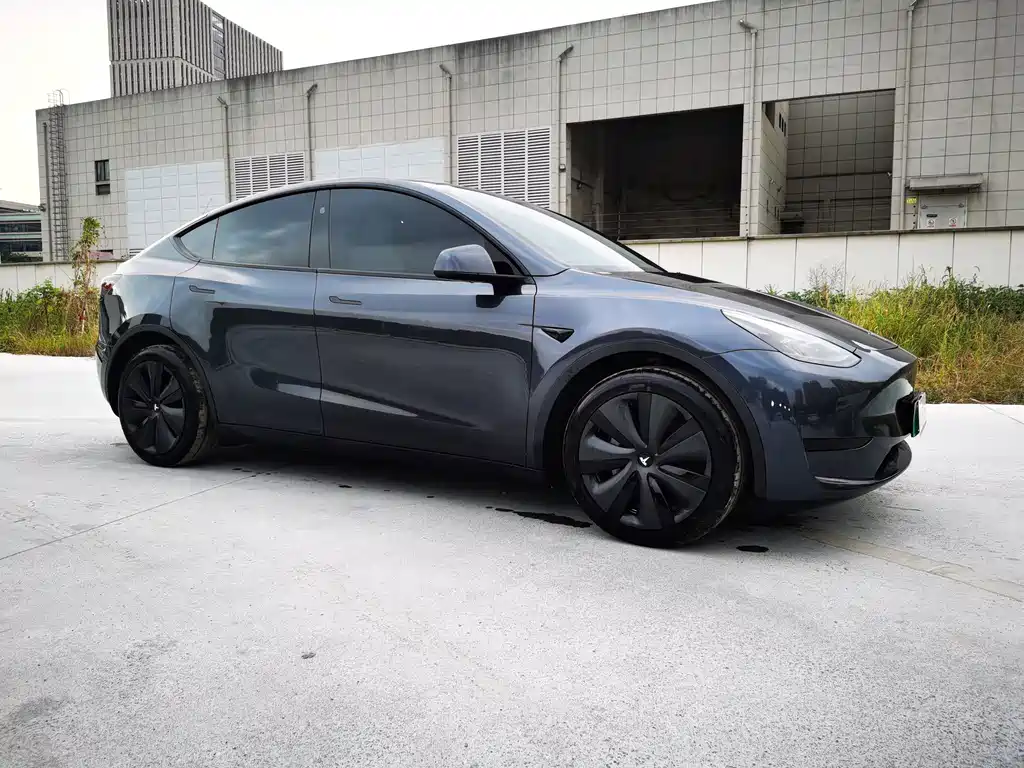 Tesla Model Y — миниатюра 3