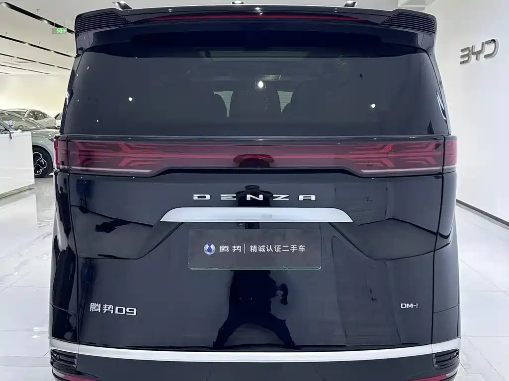 Denza Denza D9 — миниатюра 8