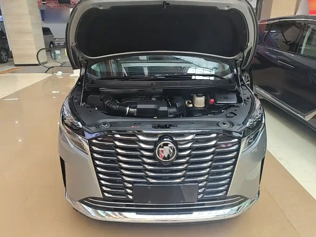Buick GL8 — миниатюра 20