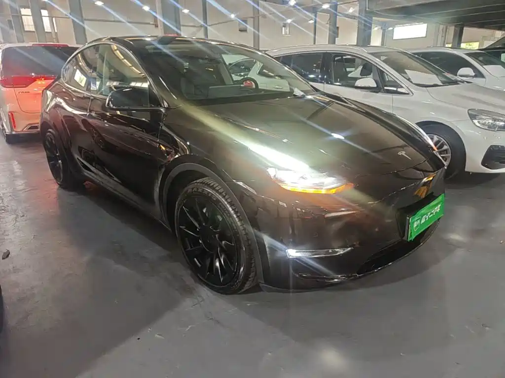 Tesla Model Y — миниатюра 4