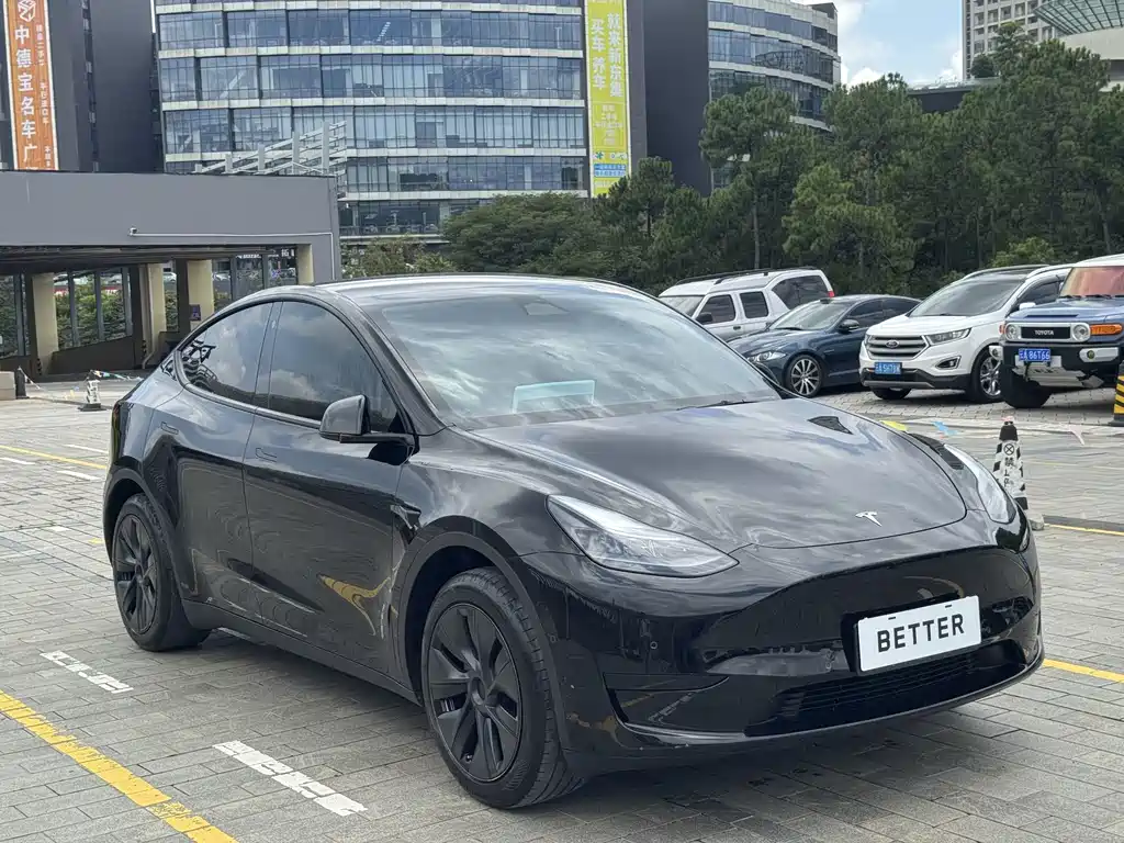 Tesla Model Y — миниатюра 4