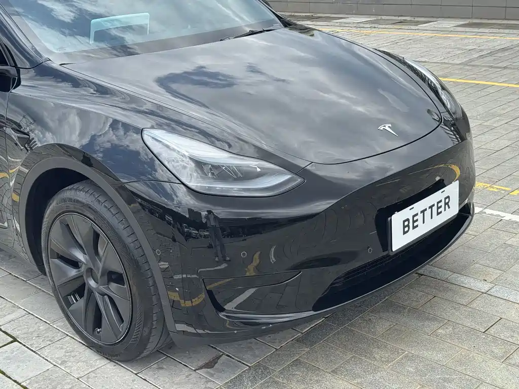 Tesla Model Y — миниатюра 5