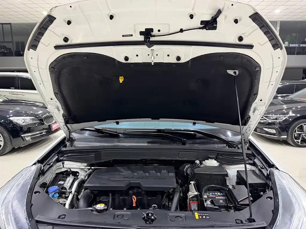 Haval H6 Coupe — миниатюра 10