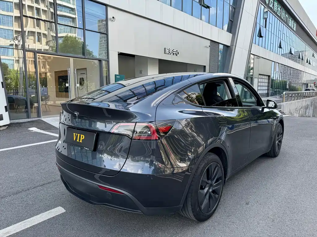 Tesla Model Y — миниатюра 6