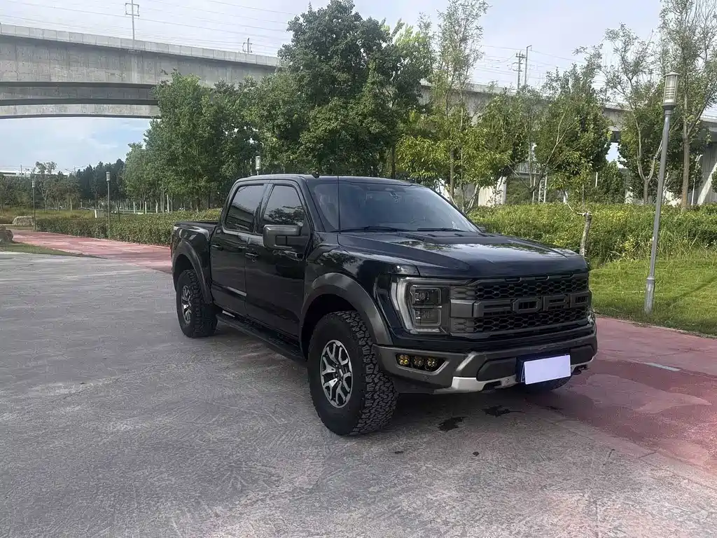 Ford F-150 Raptor — миниатюра 3