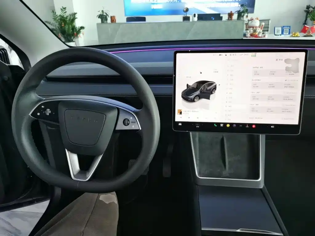 Tesla Model Y — миниатюра 10