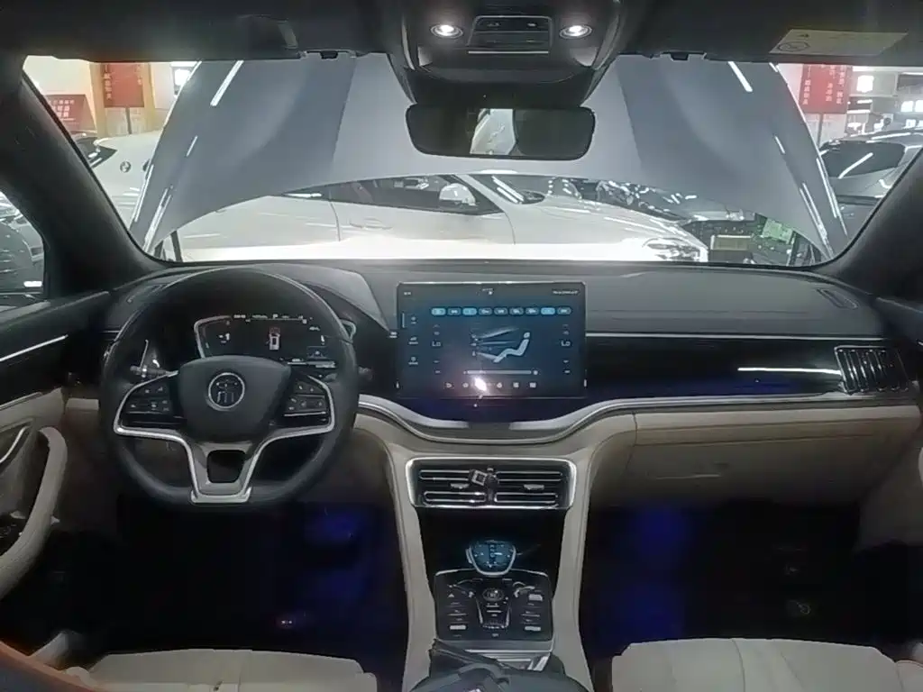 BYD PLUS New Energy — миниатюра 10