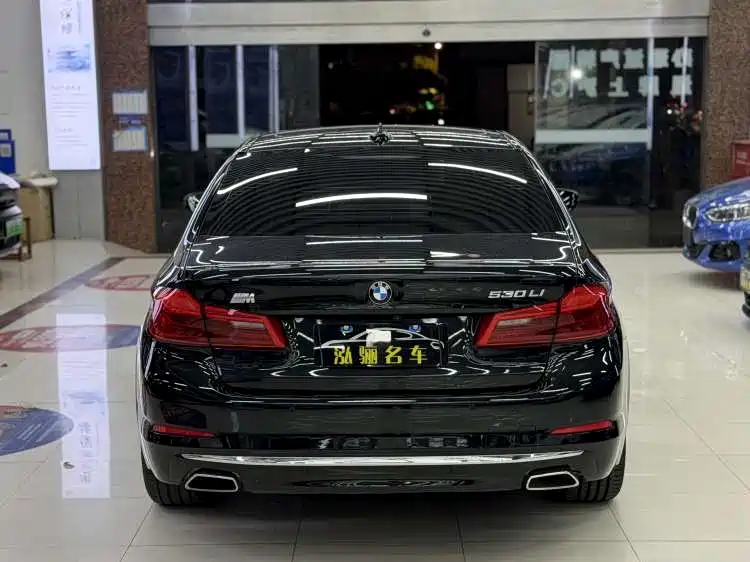 BMW 5 Series 5 2020 530Li Lead Luxury