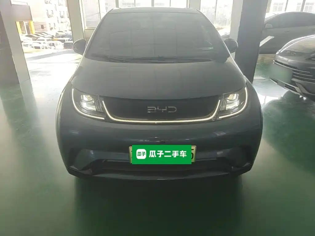 BYD Dolphin — миниатюра 3