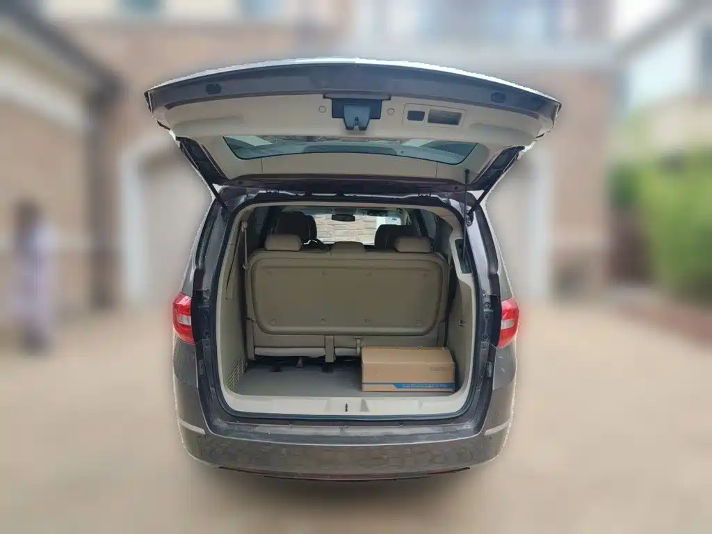 Buick GL8 — миниатюра 15