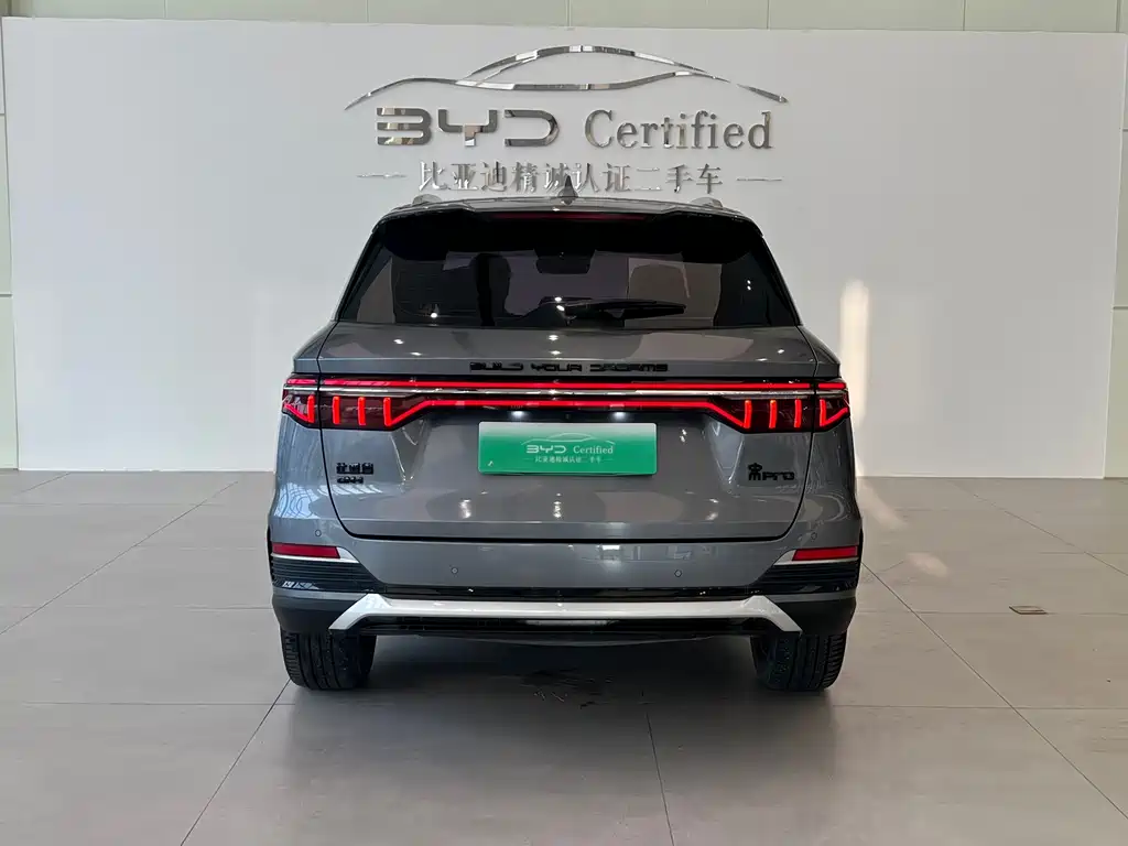 BYD Pro New Energy — миниатюра 16