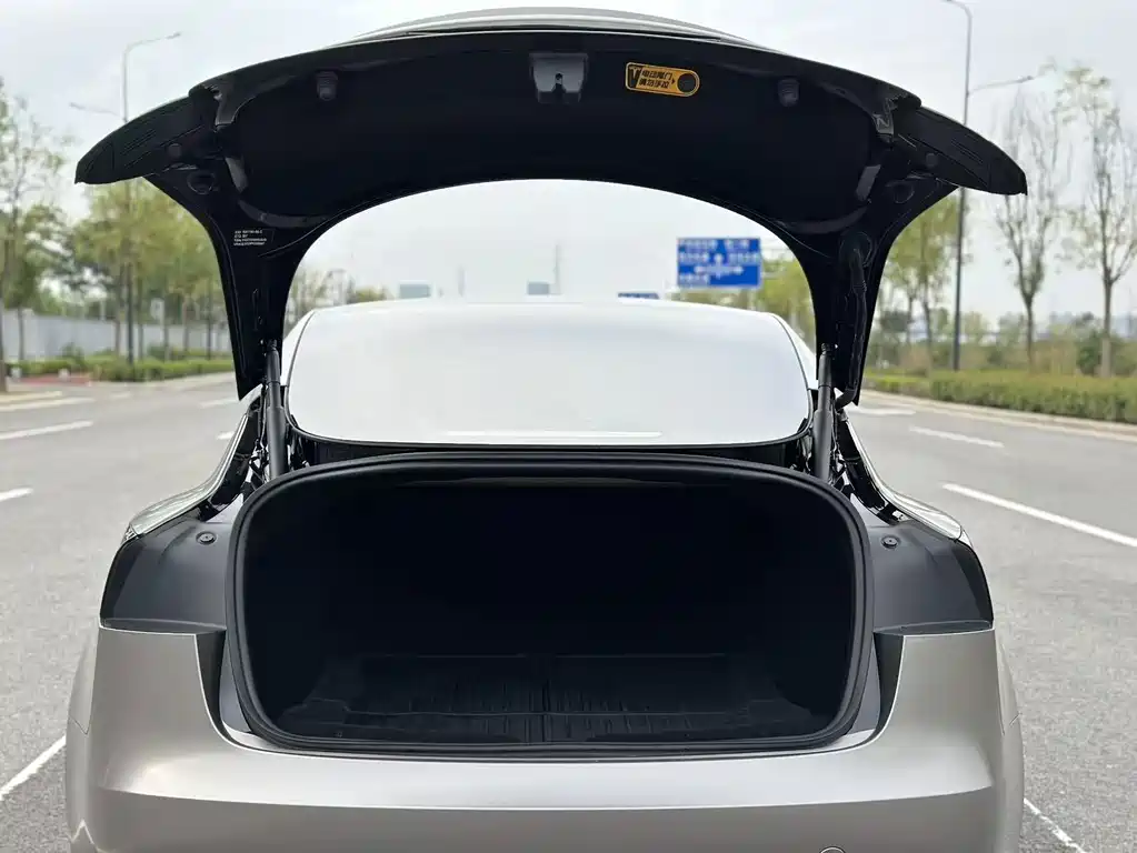 Tesla Model 3 — миниатюра 18