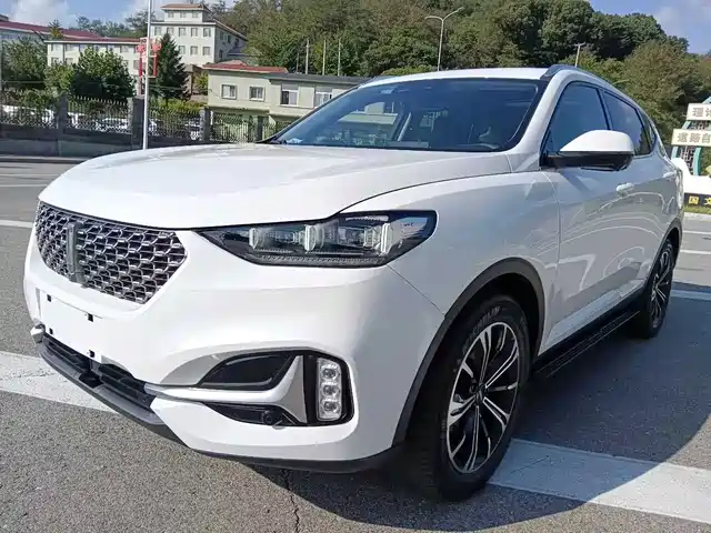 WEI PAI WEI BRAND VV6 2020