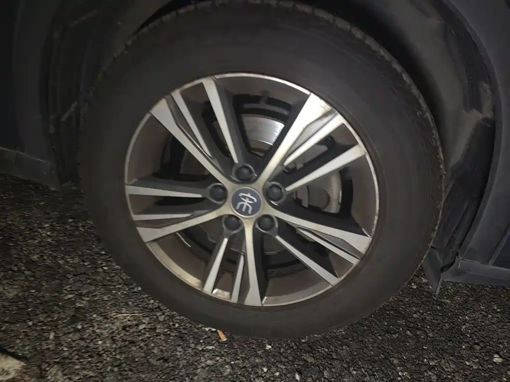 BYD Pro — миниатюра 24