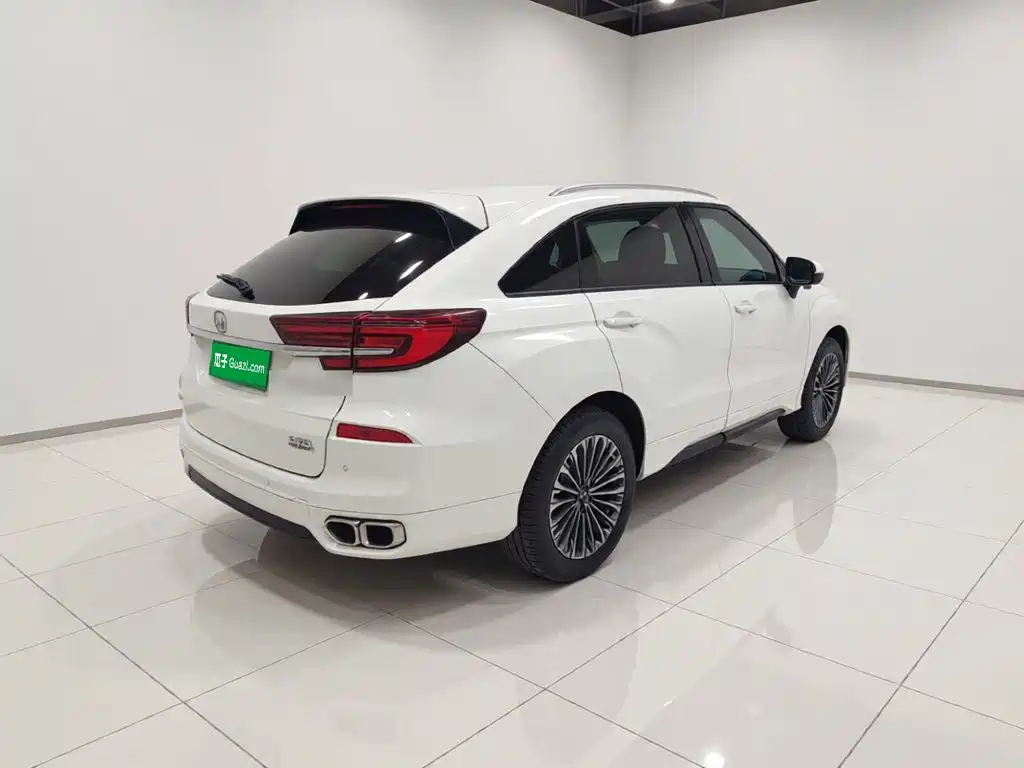 Honda Avancier — миниатюра 6