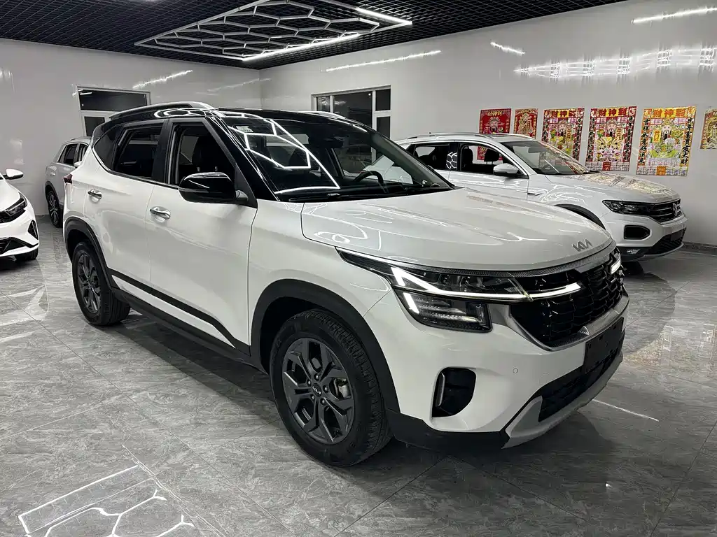 Kia Seltos — миниатюра 4