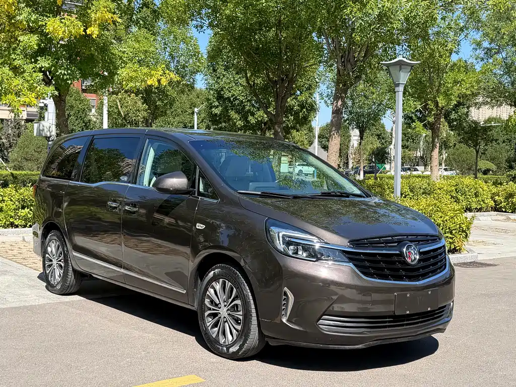 Buick GL8 — миниатюра 3