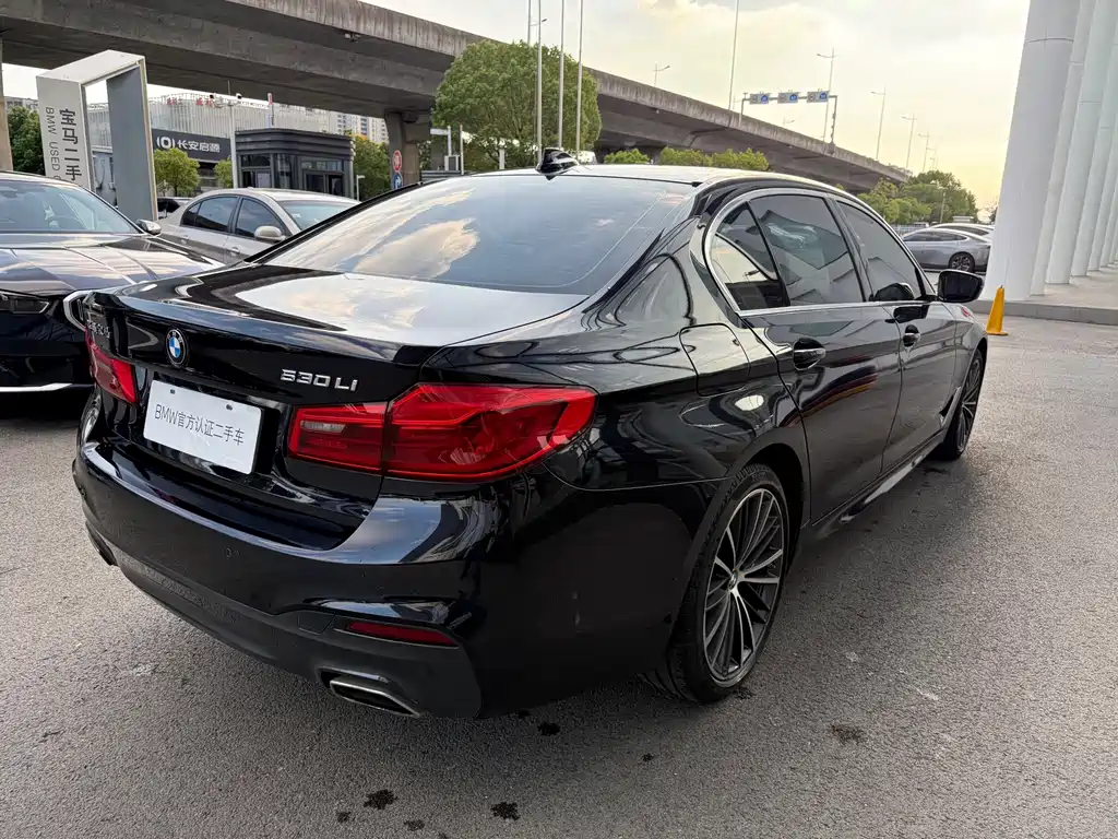 BMW 5 Series — миниатюра 12