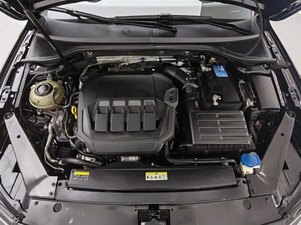 Volkswagen Magotan 2020 330TSI DSG Lead