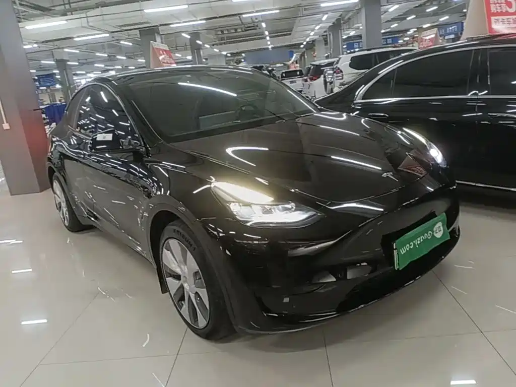 Tesla Model Y — миниатюра 4