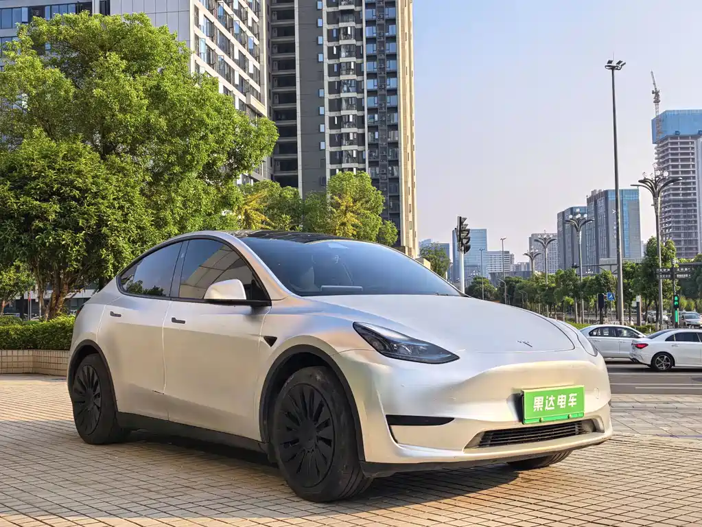Tesla Model Y — миниатюра 3