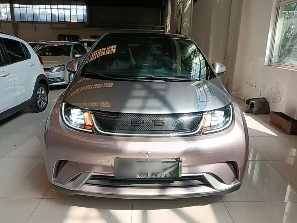 BYD Dolphin — миниатюра 3