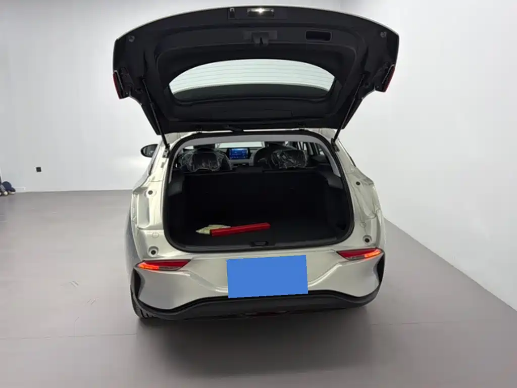 BUICK SLIGHTLY BLUE 6