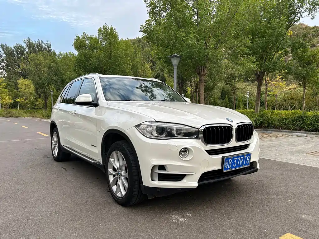 BMW X5 (Import) — миниатюра 3