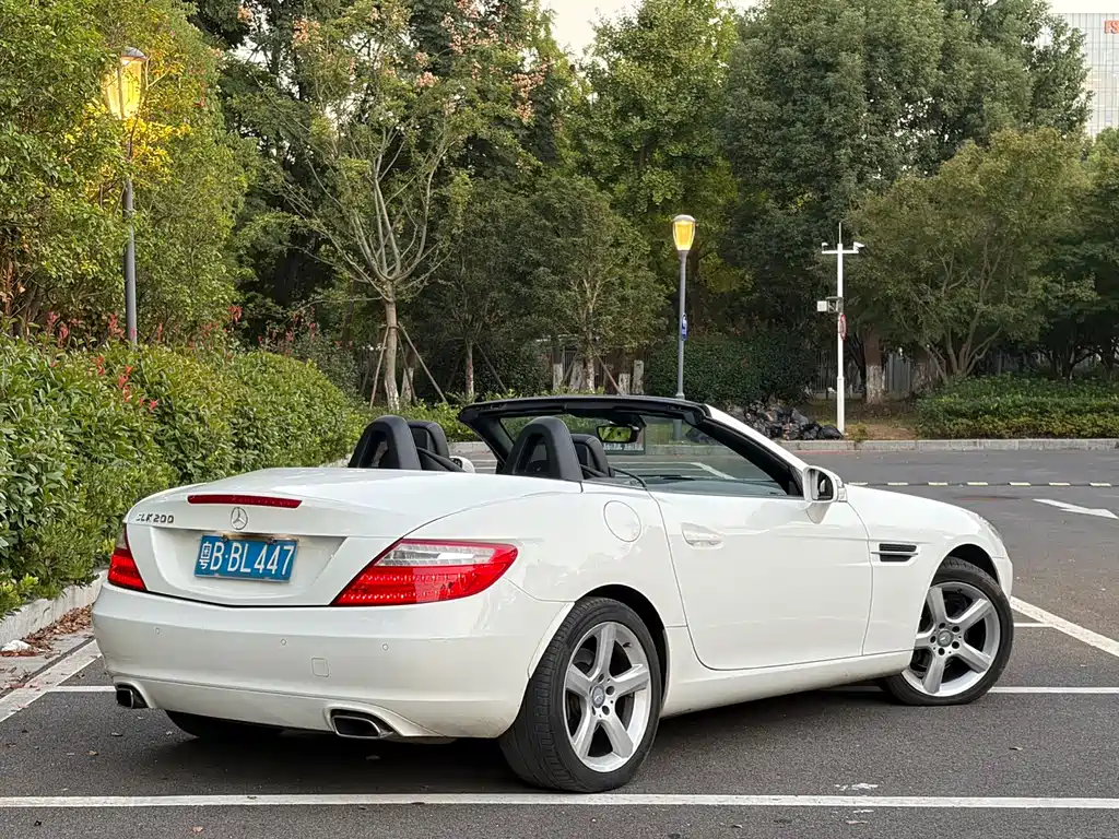 Mercedes-Benz SLK-Class — миниатюра 13