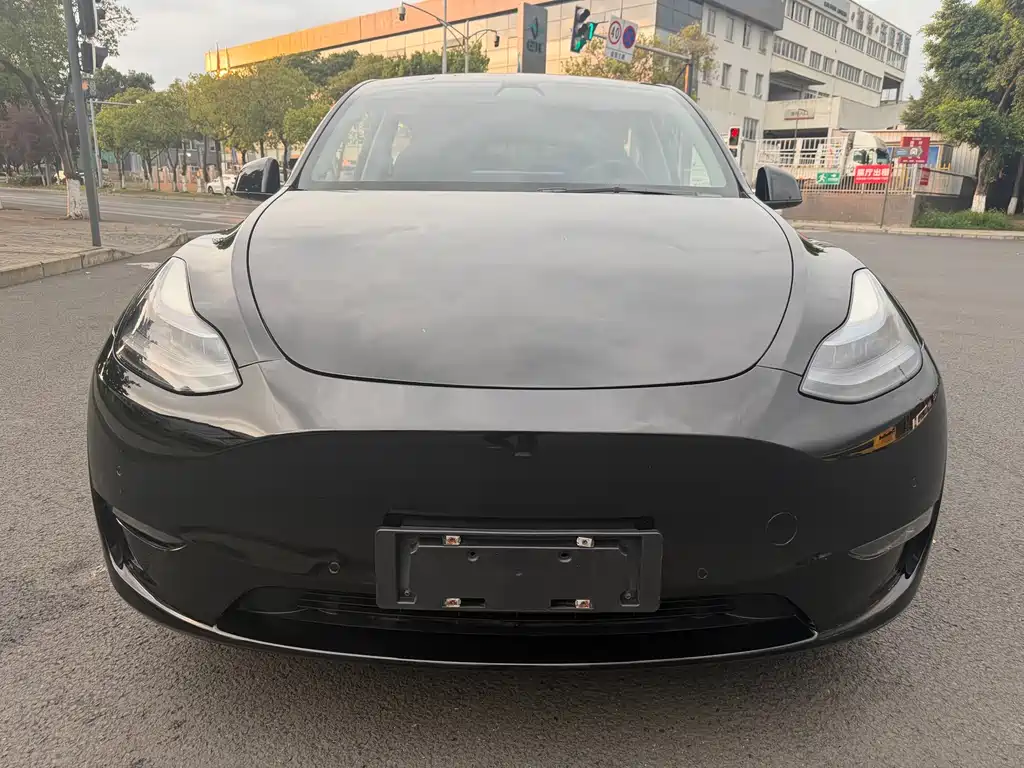 Tesla Model Y — миниатюра 2