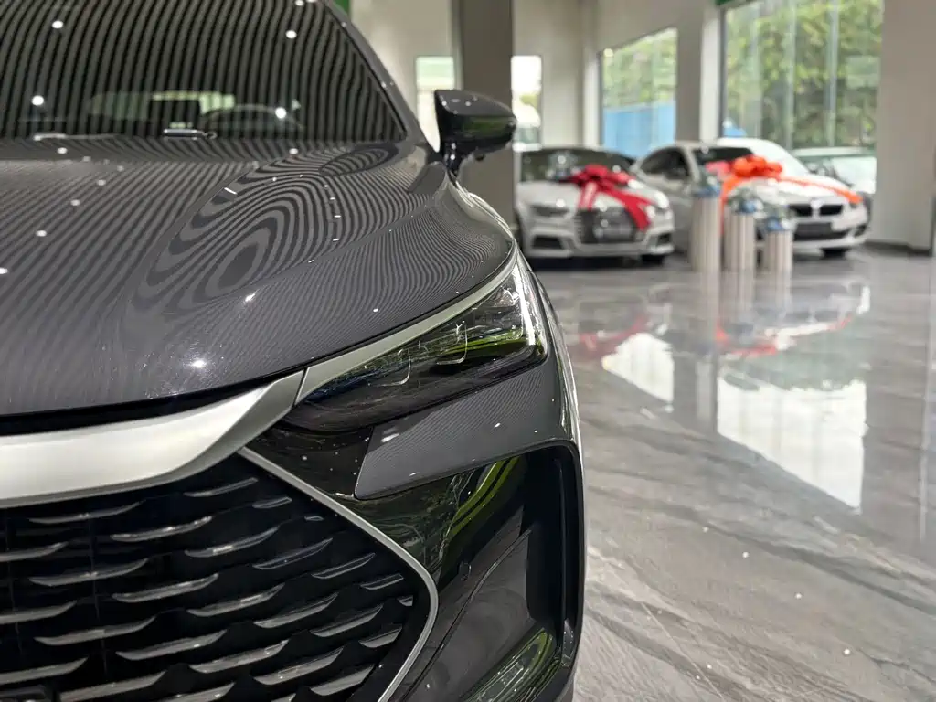 BYD Tang New Energy — миниатюра 24