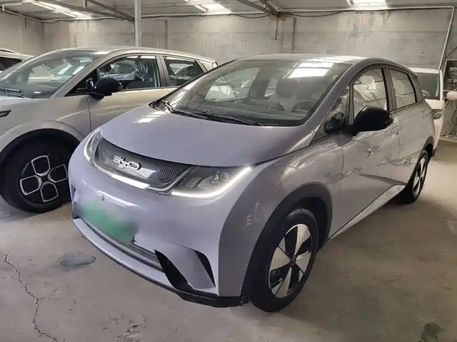 BYD DOLPHIN 2024