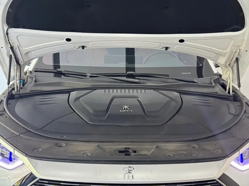 BYD PLUS New Energy — миниатюра 4