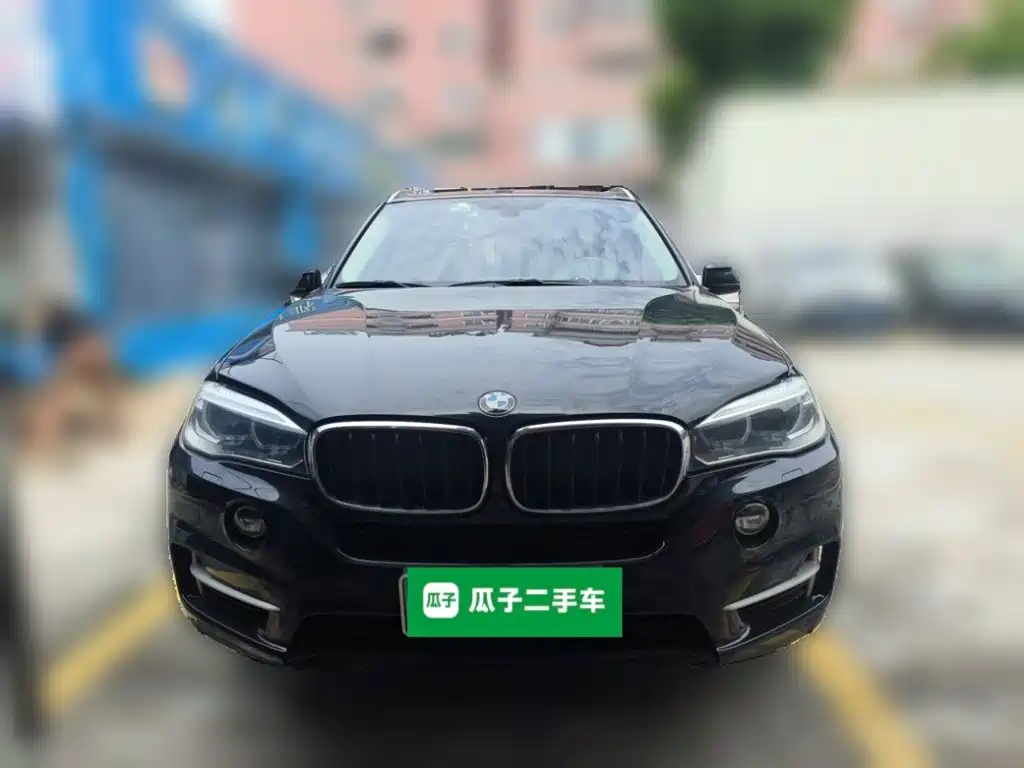 BMW X5 (Import) — миниатюра 2