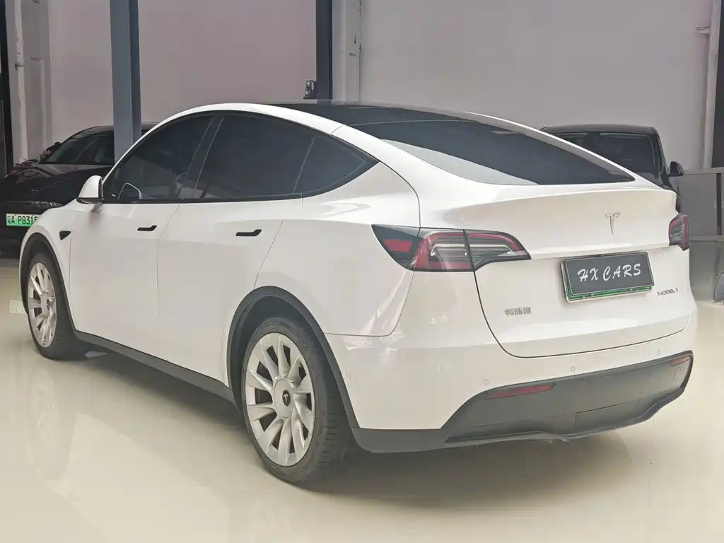 Tesla Model Y — миниатюра 7