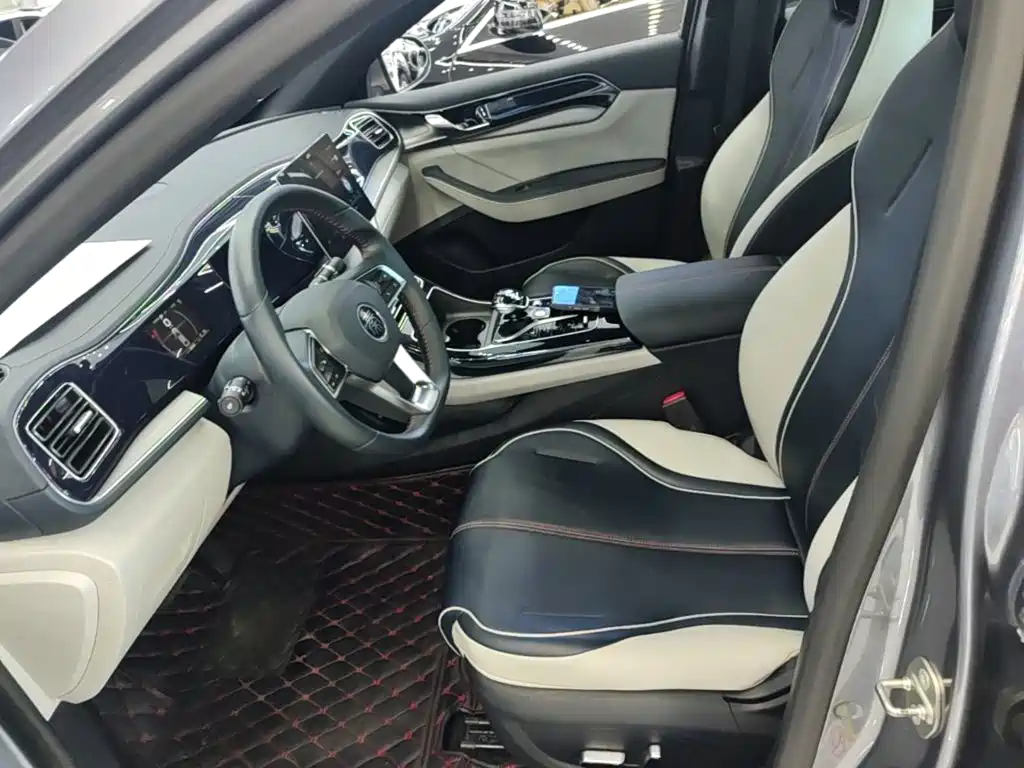 BYD Qin PLUS — миниатюра 15