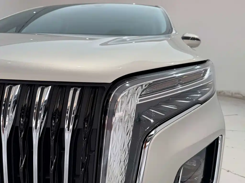 Hongqi Hongqi HQ9 — миниатюра 9