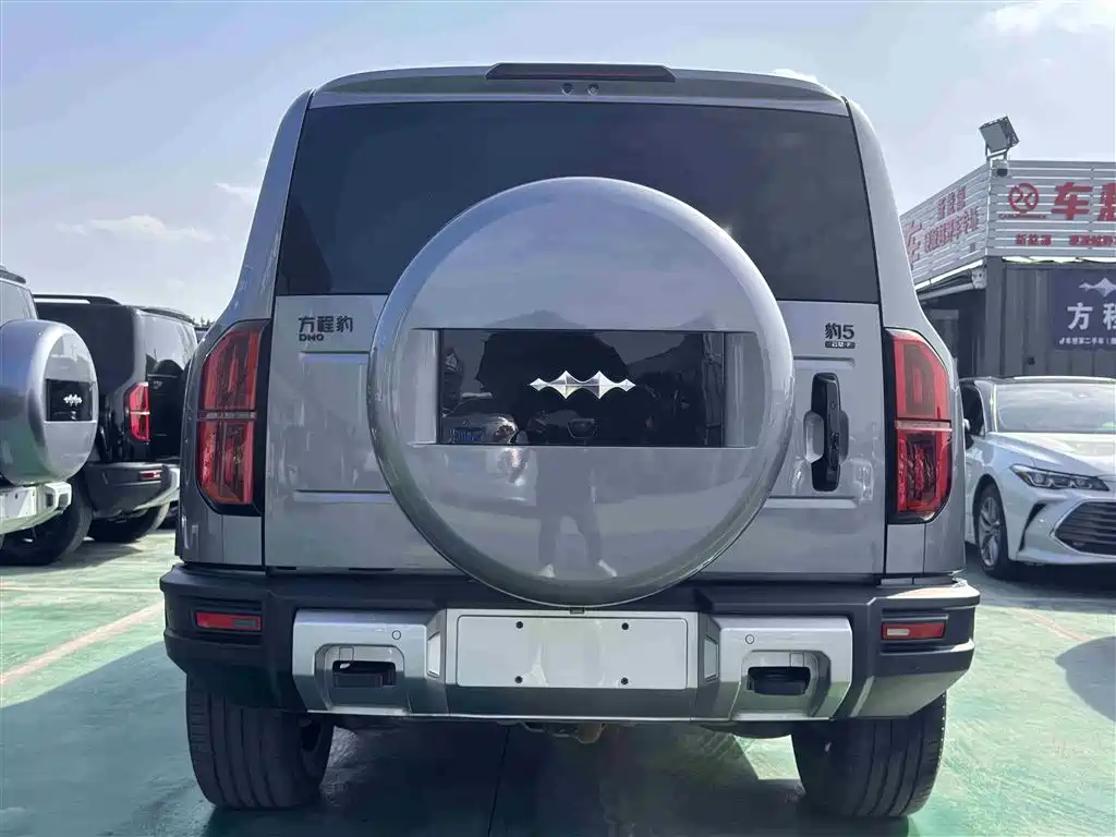 FANG CHENG BAO LEOPARD 5