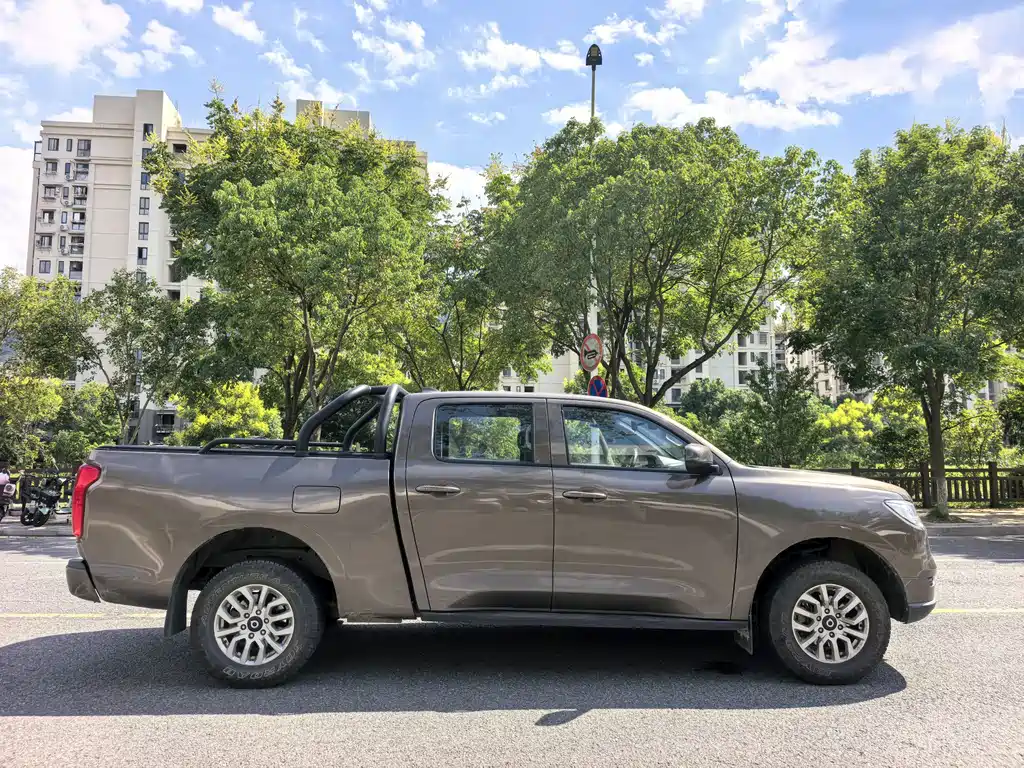 Great Wall Pao — миниатюра 12