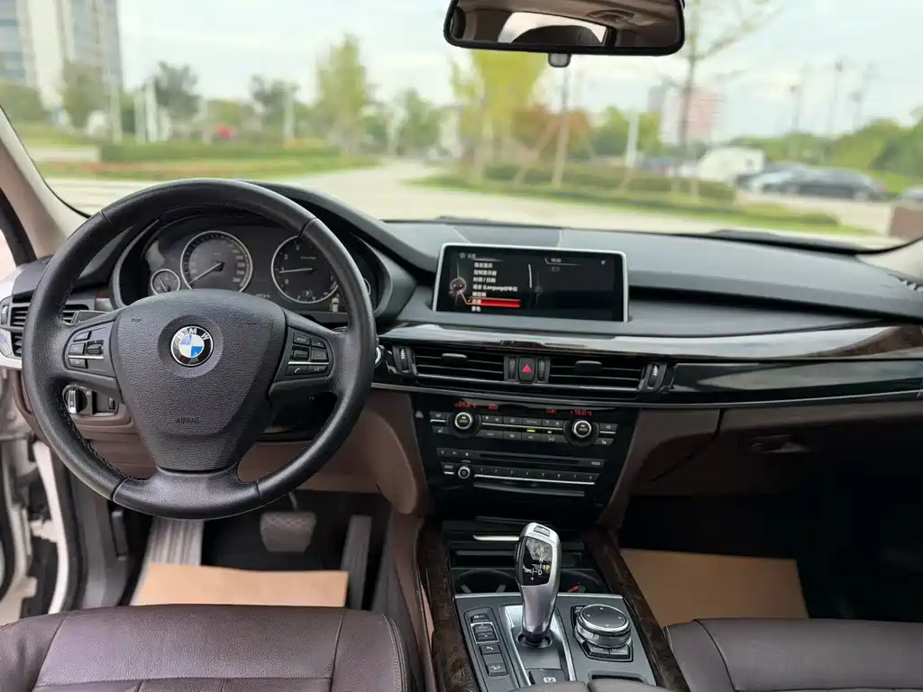 BMW X5 (Import) — миниатюра 8
