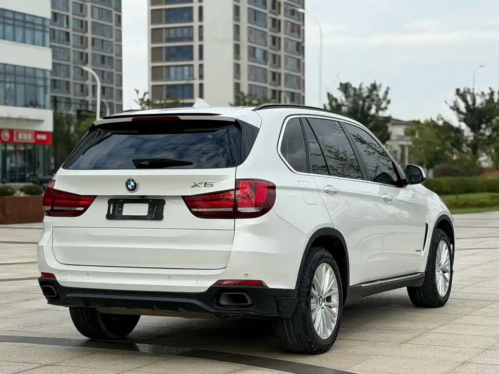 BMW X5 (Import) — миниатюра 5