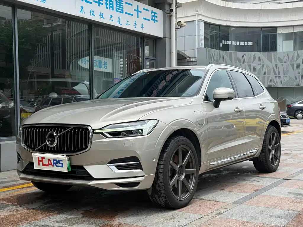 Volvo XC60 2019 T8 E Luxury VI
