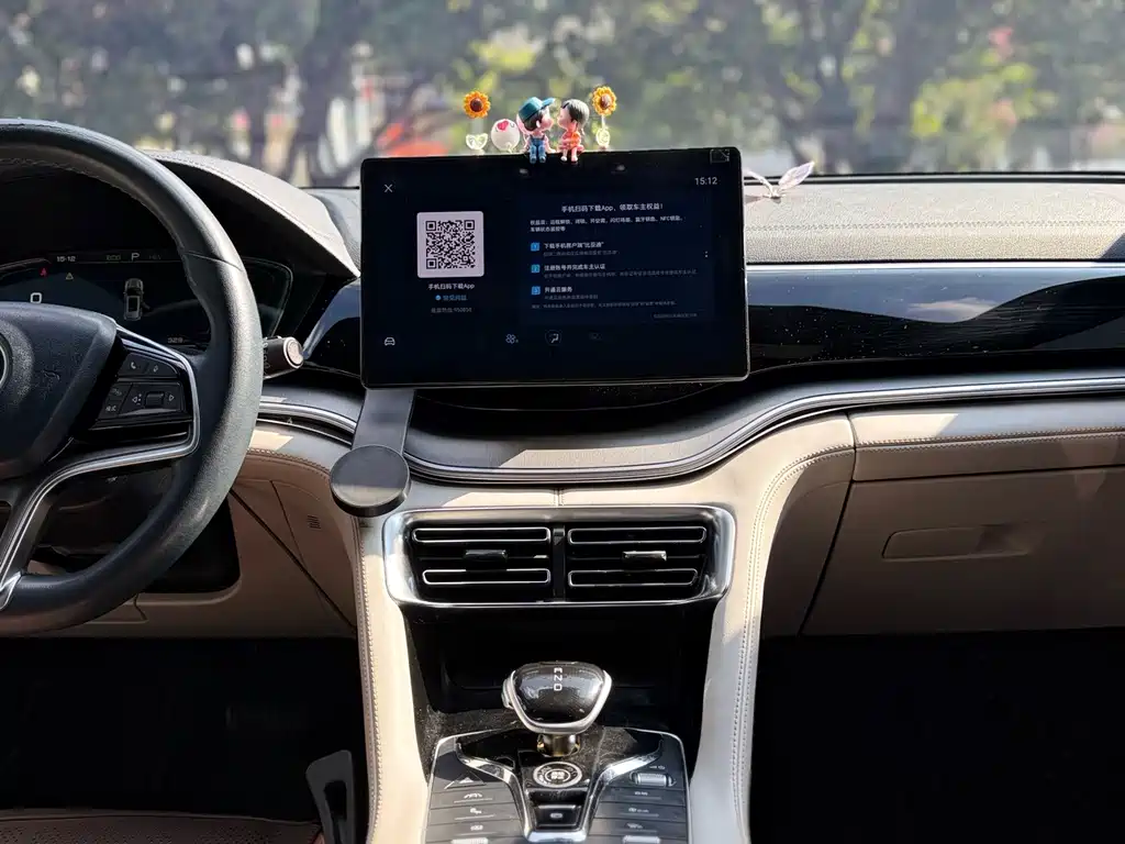 BYD PLUS New Energy — миниатюра 15