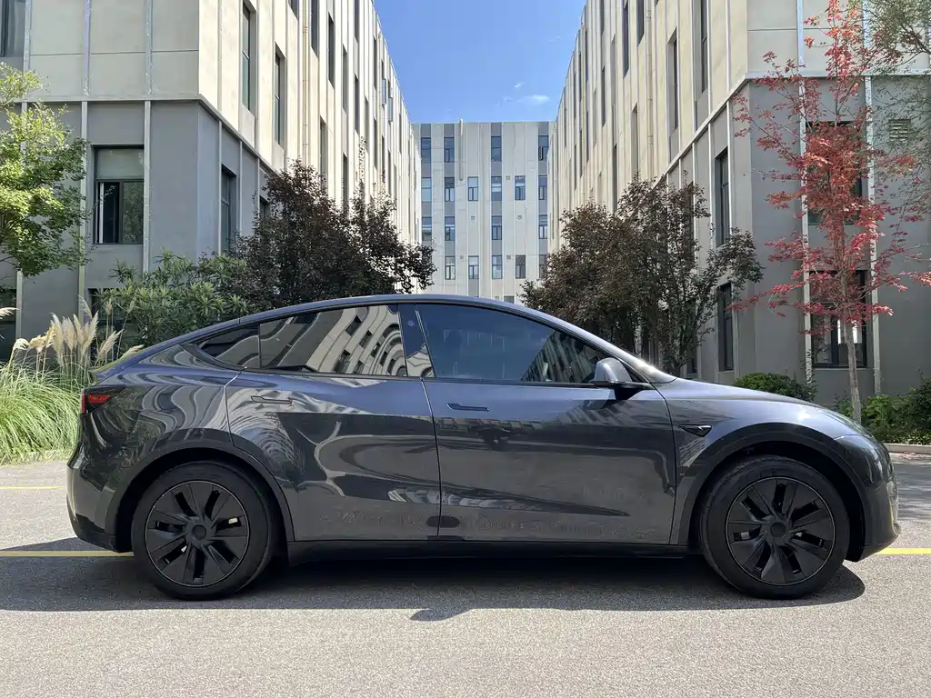Tesla Model Y — миниатюра 10