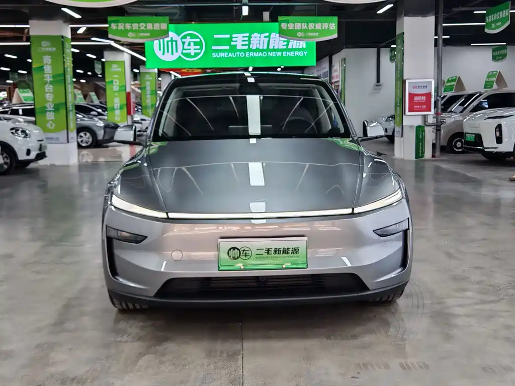 Tesla Model Y — миниатюра 2